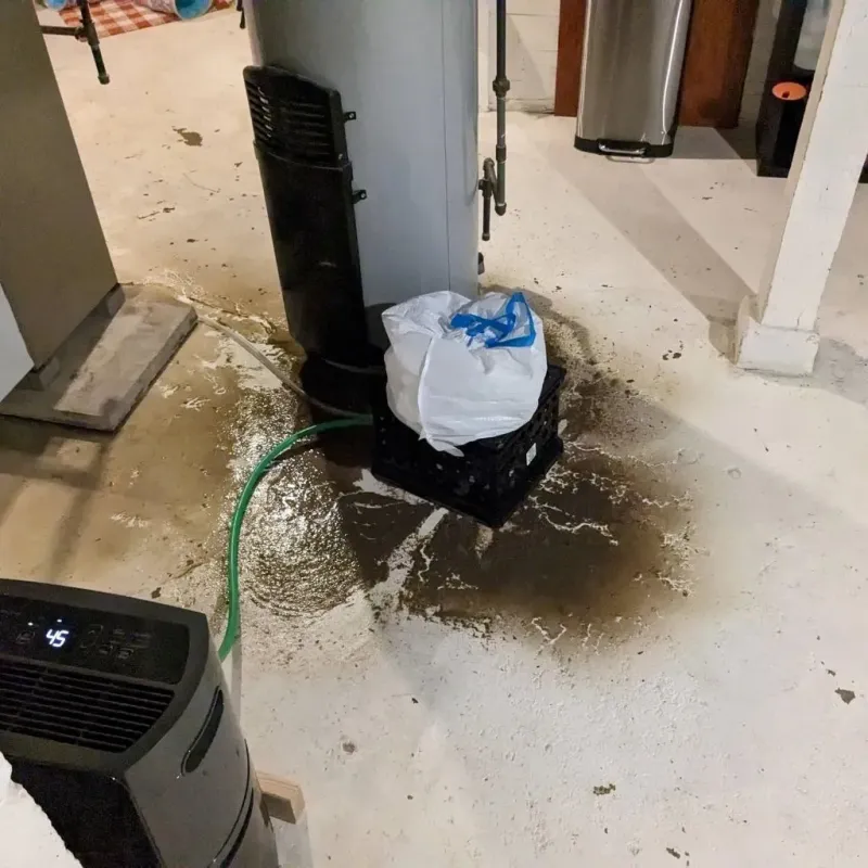 Sewage Backup Cleanup Service in Schuylkill Haven, PA